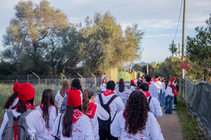 Pinpa Photography-9